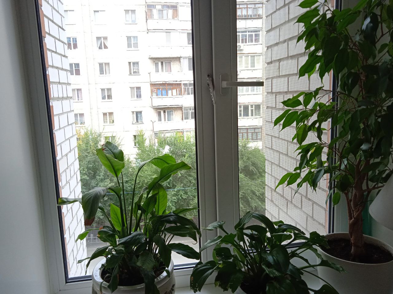 https://kostroma.delaem-okna.ru/storage/app/uploads/public/63f/332/8c0/63f3328c0d6f7867060515.jpg